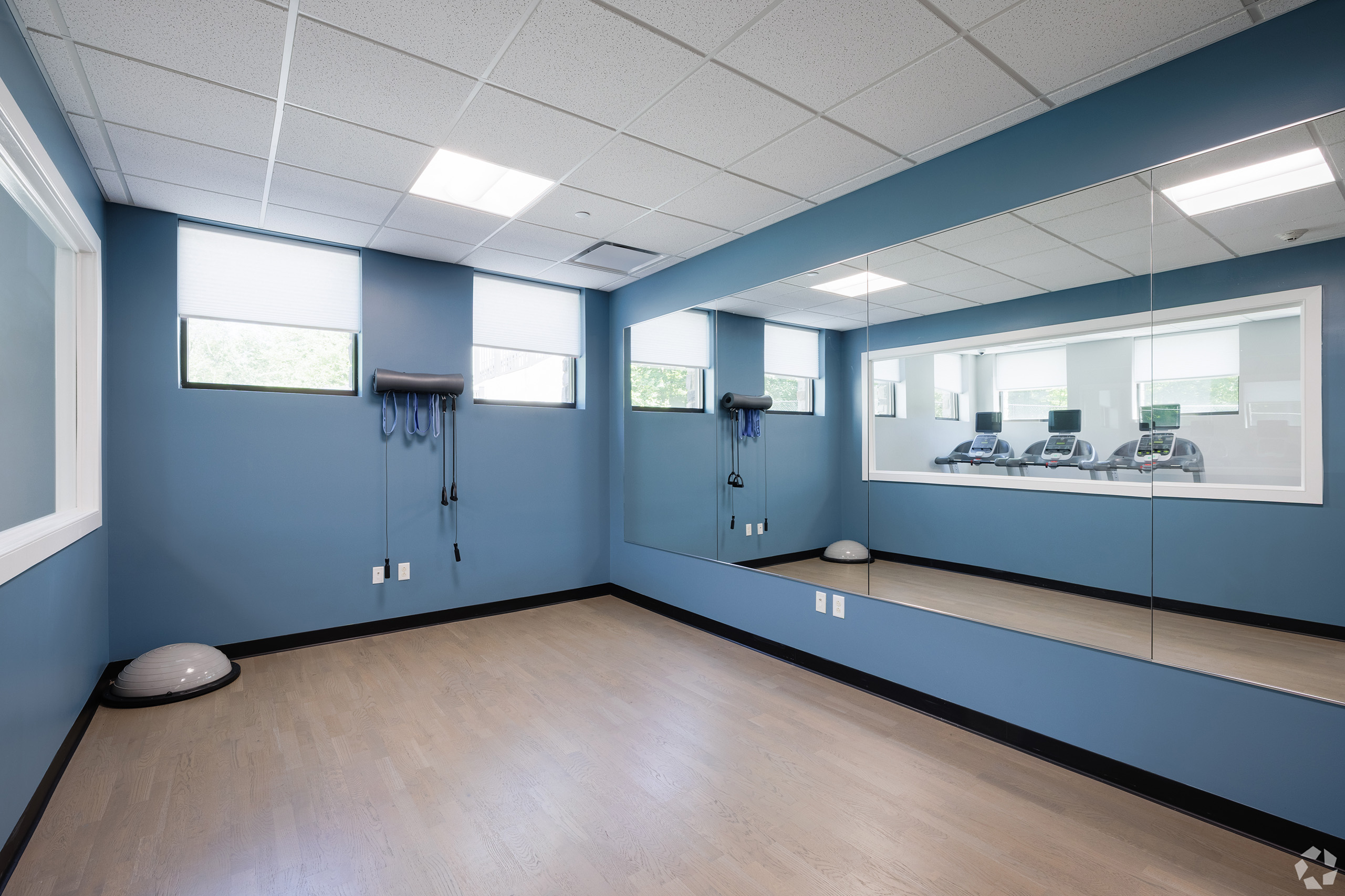 Yoga and wellness studio with floor-to-ceiling mirrors, blue accent wall, balance trainers, and a window with natural light